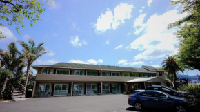 Hotels in Waihi